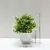 Planta em vaso artificial para mesa