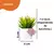 Kit Com 3 Suculentas Artificiais Mini Vaso Cerâmica Branco - comprar online