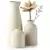 Conjunto de Vasos Cerâmicos para Decoração