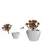 Imagem do Mini Vaso Decorativo Suculenta Cachepot
