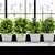 Planta em vaso artificial para mesa - loja online