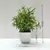 Planta em vaso artificial para mesa - ROCRIS CASA E DECORAÇÃO