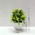 Imagem do Planta em vaso artificial para mesa
