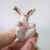 Miniatura Animais fofos - Tukun