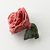 A Rosa