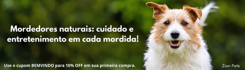 Carrossel 1