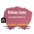 Bolsas Ecommerce 40x50 Rosas Lisas C/Solapa Inviolable