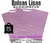 Bolsas Ecommerce 10x15 Violetas Lisas C/Solapa Inviolable