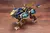Kotobukia Zoids EZ-054 LIGER ZERO X 1/72 Model Kit. Nuevo sin armar - comprar en línea