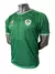 CAMISETA DE JUEGO IRLANDA HOME RWC 2023