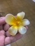 Broches para el pelo