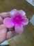 Broche de flor