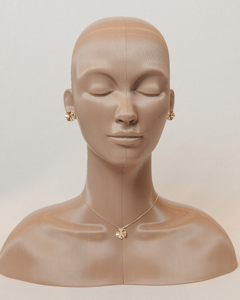 Conjunto clássico flor orgânica