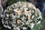 Imagem do Coroa de Flores com lírios Luxo (Tamanhos Variados)