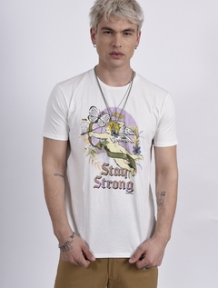 REMERA CEVERT en internet