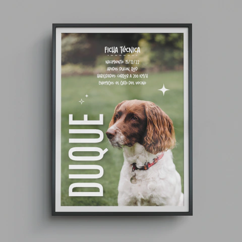 Cuadro Personalizado de Mascotas con Foto Retrato de Perros y Gatos
