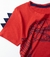 CONJUNTO INFANTIL MENINO DE CAMISETA MALHA E BERMUDA TACTEL DINOSSAURO