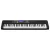 Casio CT-S500 Teclado Sensitivo 61 Teclas - comprar online