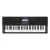 Casio CT-X800 Teclado Sensitivo 61 Teclas
