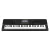 Casio CT-X800 Teclado Sensitivo 61 Teclas - comprar online
