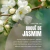Vela Aromática de Jasmim 200g na internet