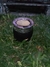 Mates Imperiales de Calabaza - comprar online