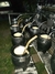 Mates Imperiales de Calabaza en internet