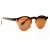 Óculos de Sol Texas Marrom - comprar online