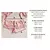CONJUNTO TOP PLUMETI ROSA - tienda online