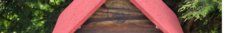 Banner de la categoría Mascotas