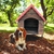 Casa para perros Medianos