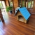 Casa para perros Grandes - El tilo de Orion