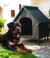 Casas para mascotas