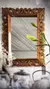 Espejo de Madera estilo Rococó | Vintage | Siglo XIX en internet