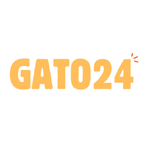 Gato24