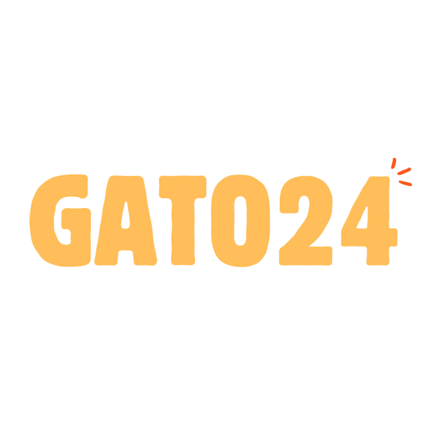 Gato24