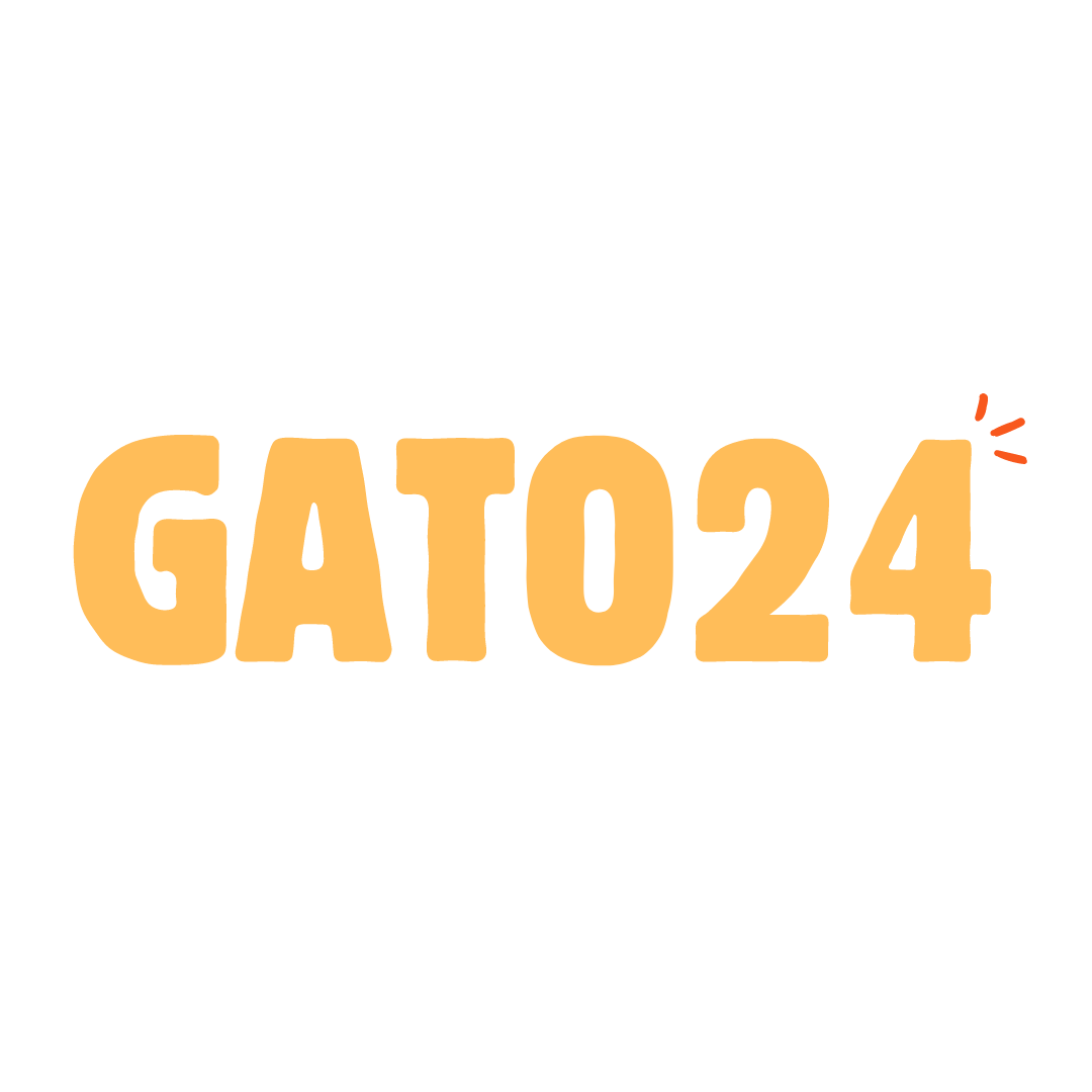 Gato24