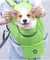 Imagem do PetCarry DuoBag Conforto - Mochila Versátil para Transporte de Cachorros com Suporte Duplo