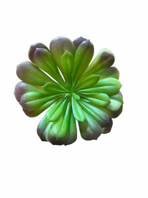 Suculenta verde - 13 cm