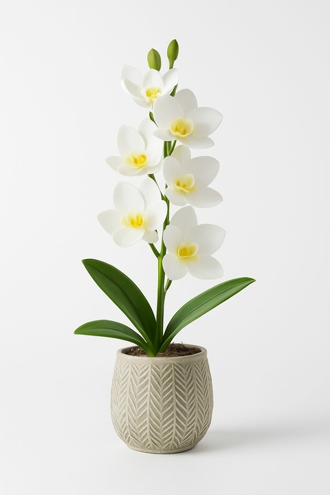Flor orquídea branca 2 galhos - 62 cm