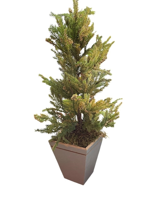 Mini Árvore de Natal Pinheiro com Vaso de Madeira – 50 cm