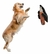 Spray Limpa Patas e Tira Chulé Cachorro Gato Up Clean 120ml Paw Cleaner - loja online