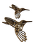 Colibrí - comprar online