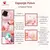Imagem do Massageador Facial Esfoliante e Polvo Esponja – Limpeza Completa