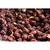 Amendoim Crocante Chocolate - Premium na internet