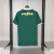 Camisa Palmeiras 24/25 - Puma Torcedor - Masculina - Verde - comprar online