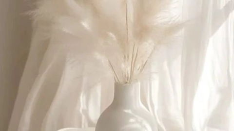 Imagen del carrusel Cochideco