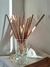 Sahumerio Doble Empaste - Lemon Grass