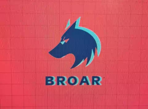 BRoar