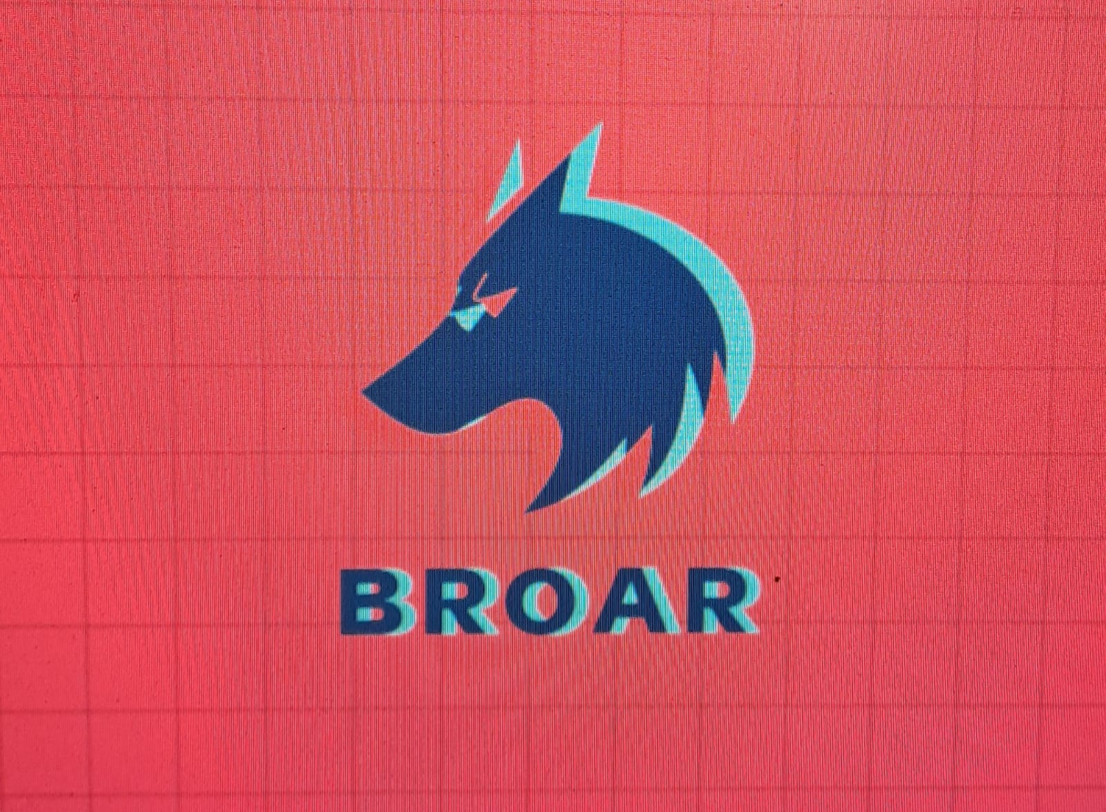 BRoar